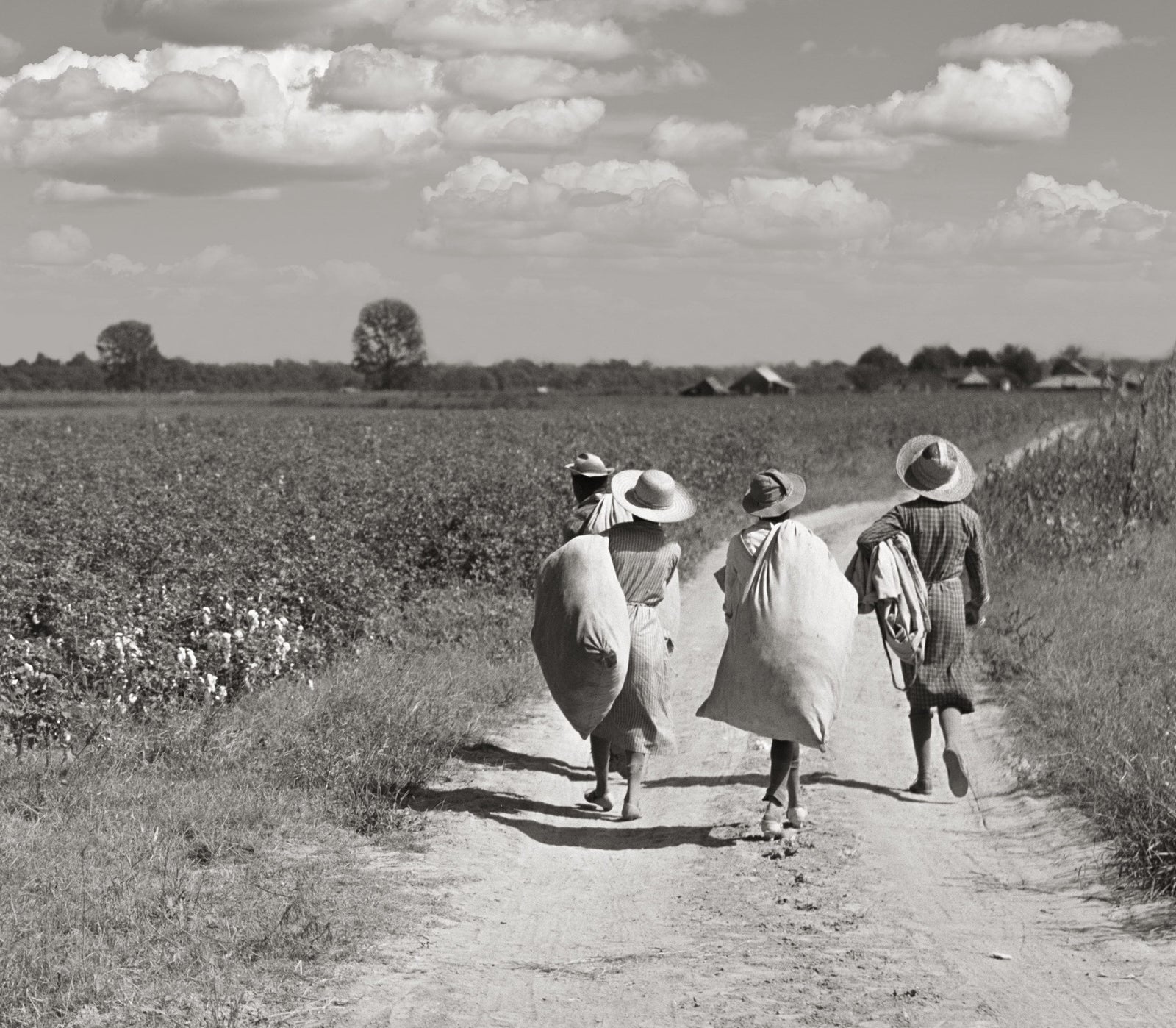 Cotton pickers in Mississippi Delta, Marion Post Wolcott, 1939 Historical Pix