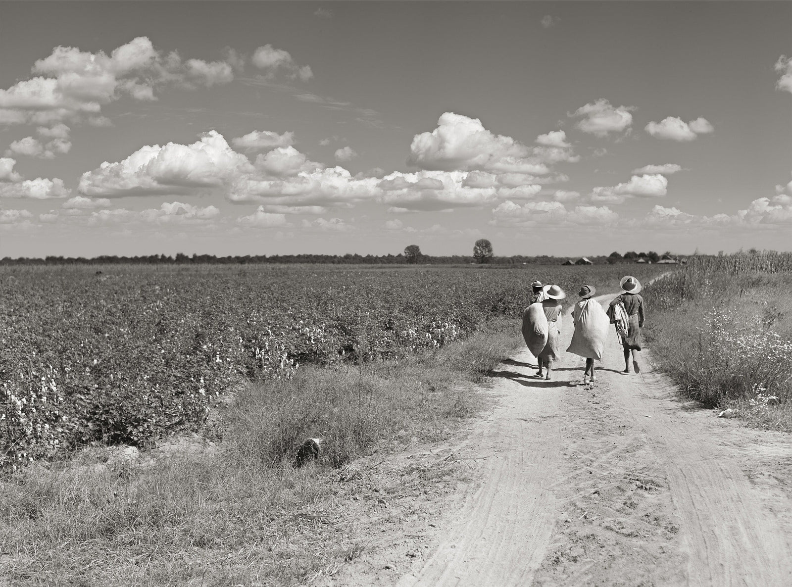 Cotton pickers in Mississippi Delta, Marion Post Wolcott, 1939 Historical Pix