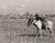 Dallas Texas Skyline, Cowboy & Horse, Dallas Texas, 1943 Historical Pix