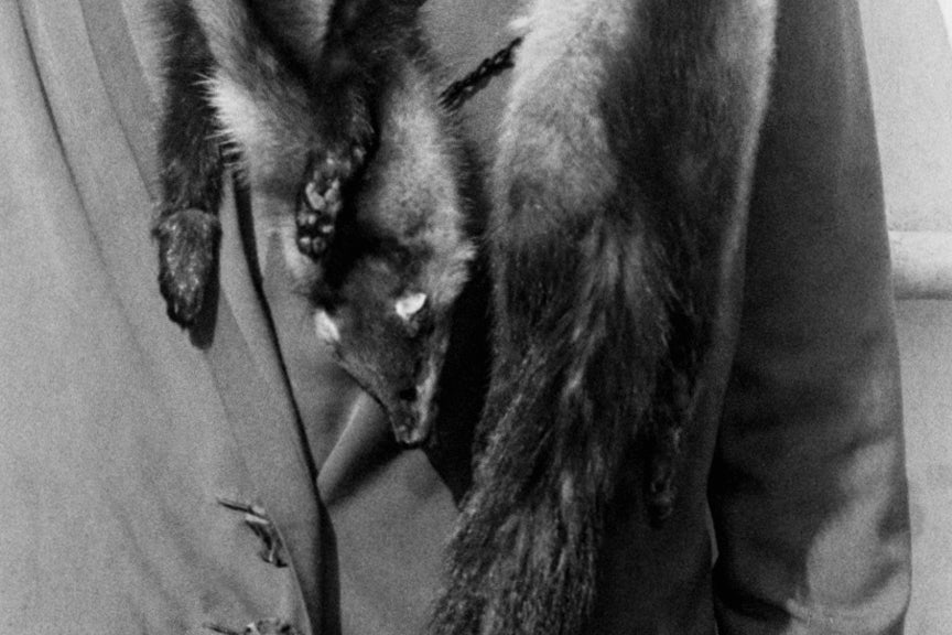 Gertrude Ederly First to Swim English Channel, 1926 Historical Pix