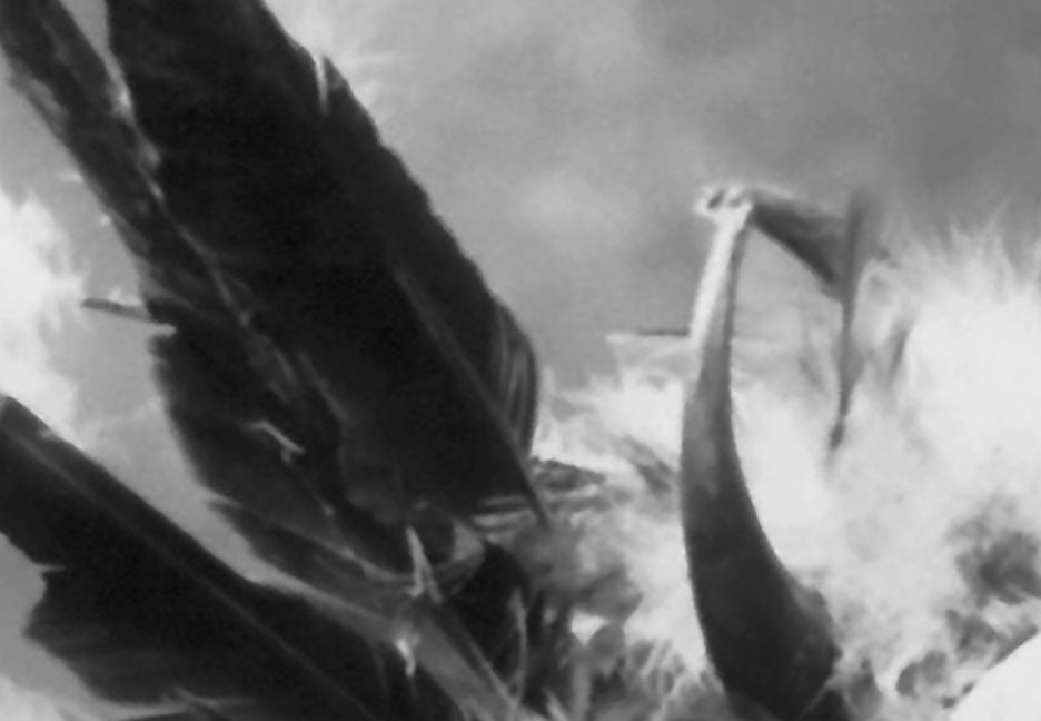 Native American Portrait of Little Horse, Sioux Tribe, 1899 Historical Pix