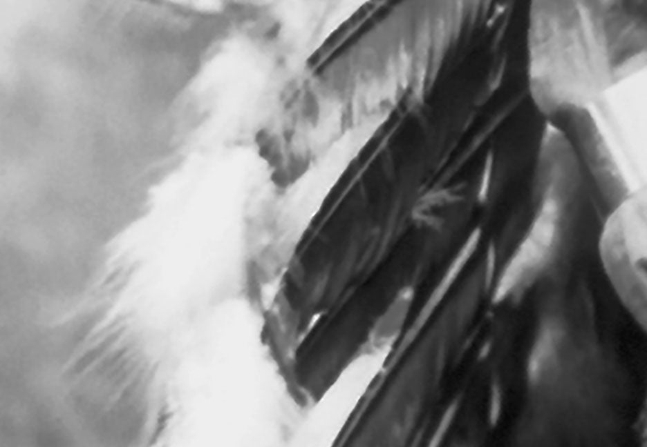 Native American Portrait of Little Horse, Sioux Tribe, 1899 Historical Pix