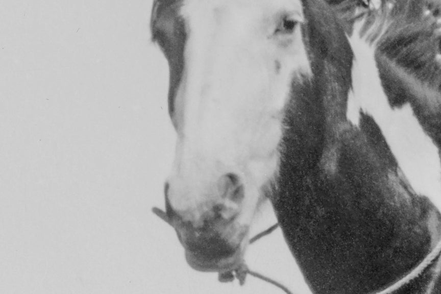 Native American Riding Horse, 1905 Historical Pix