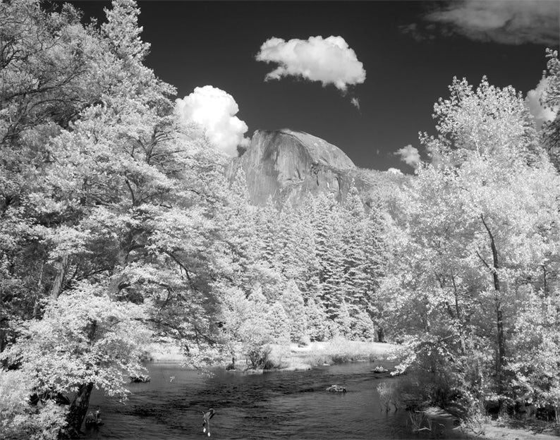 Yosemite National Park Scenic Black & White Photo Collection Historical Pix