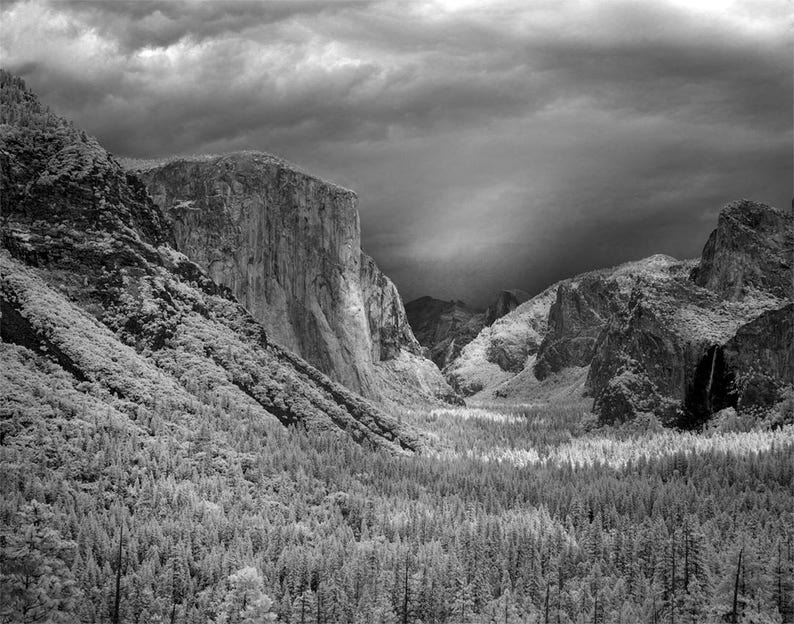 Yosemite National Park Scenic Black & White Photo Collection Historical Pix