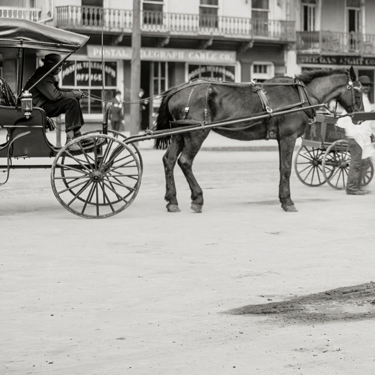 African American Fish Vendor, Augusta Georgia, 1903 Historical Pix