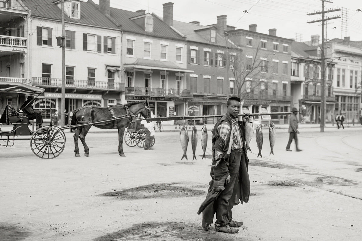 African American Fish Vendor, Augusta Georgia, 1903 Historical Pix