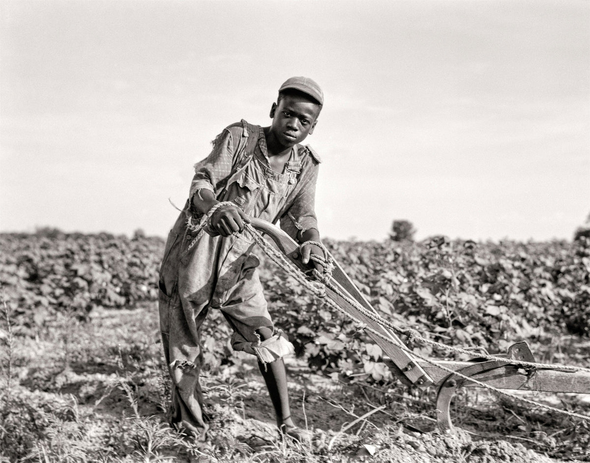 African American Photo Portrait of Black Boy, 1937, near Americus, Georgia Historical Pix