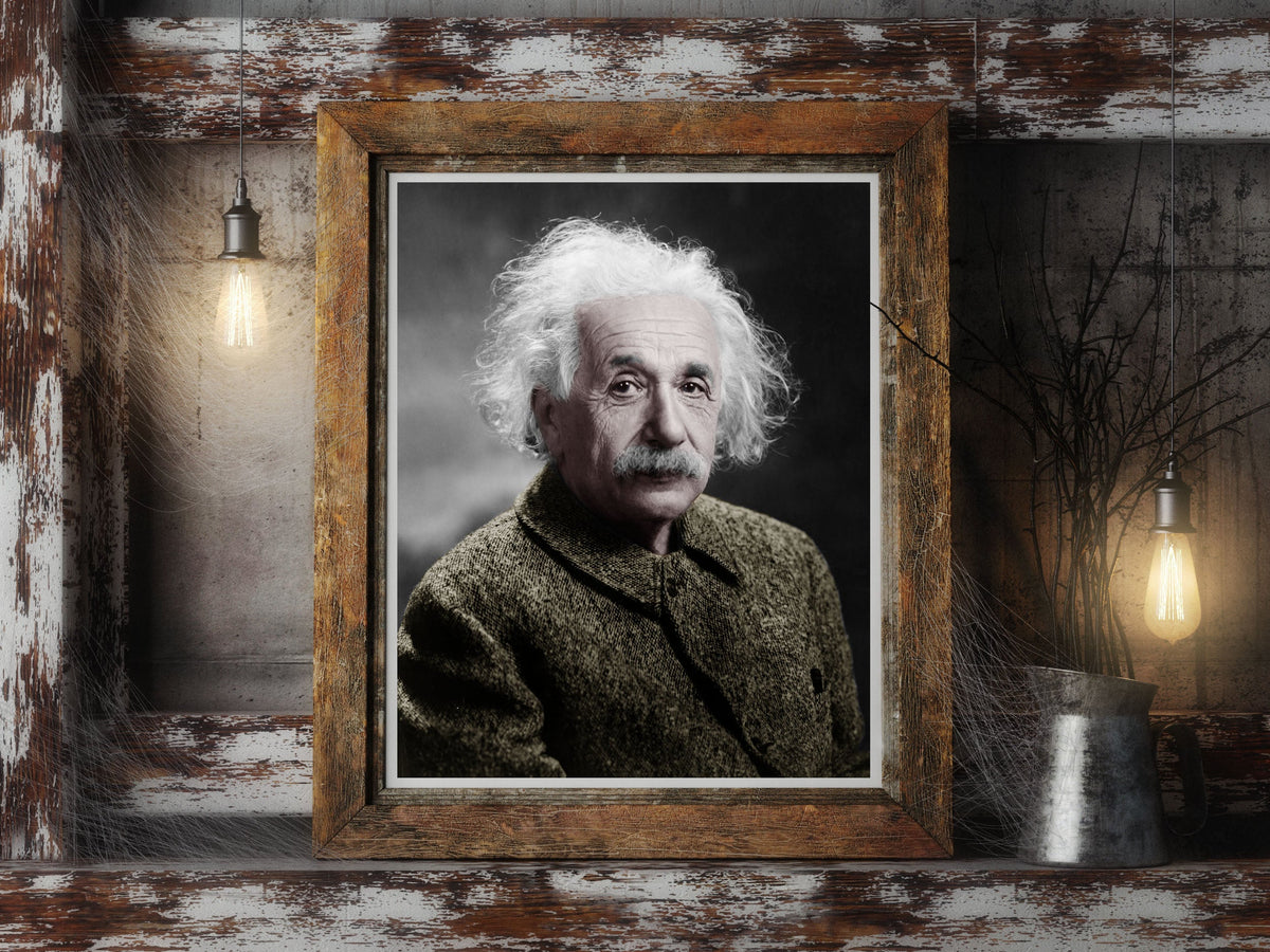 Albert Einstein Portrait Historical Pix
