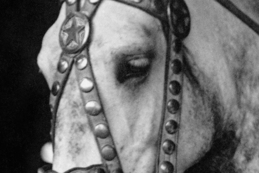 Circus Girl and Horse, 1900s Historical Pix