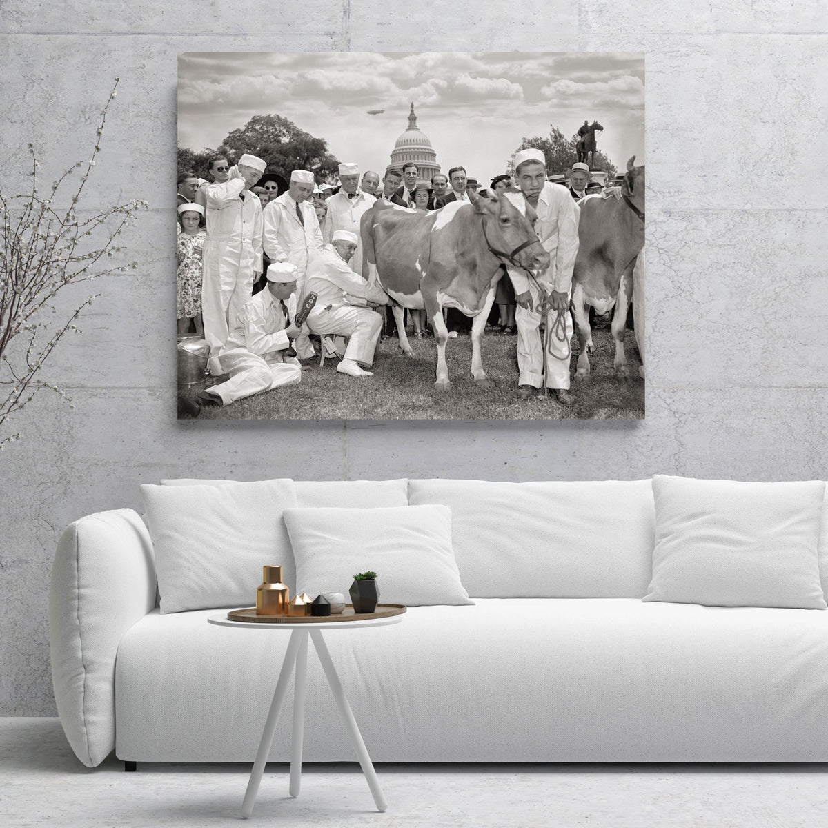 Congressional Milking Contest including congressmen and cow, 1938 Historical Pix