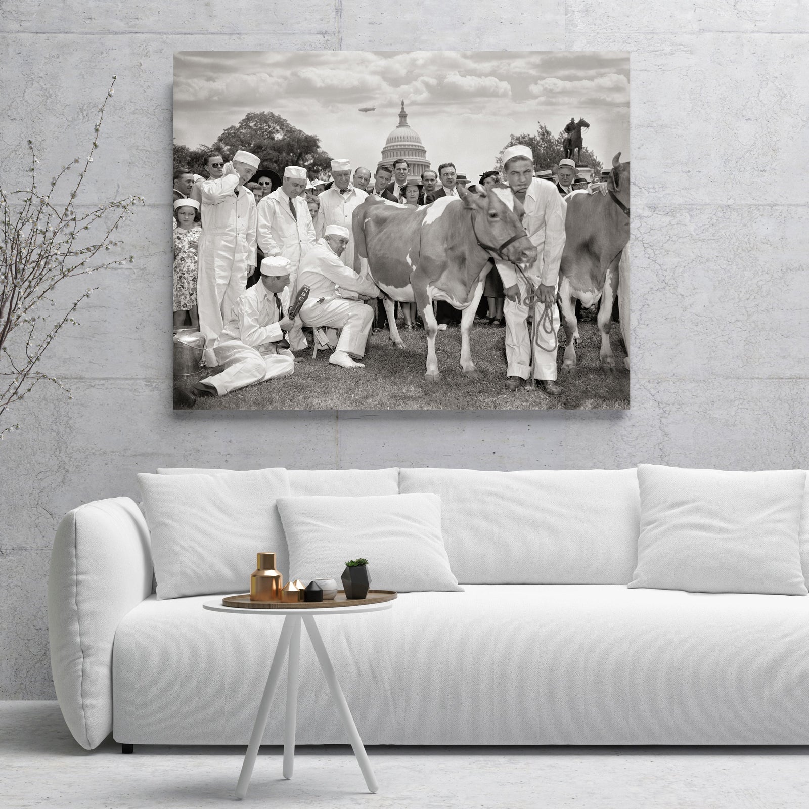 Congressional Milking Contest including congressmen and cow, 1938 Historical Pix