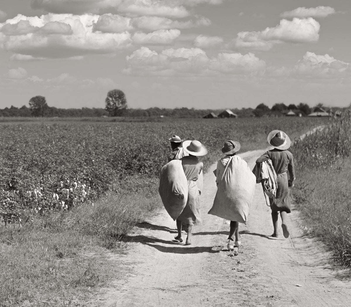 Cotton pickers in Mississippi Delta, Marion Post Wolcott, 1939 Historical Pix