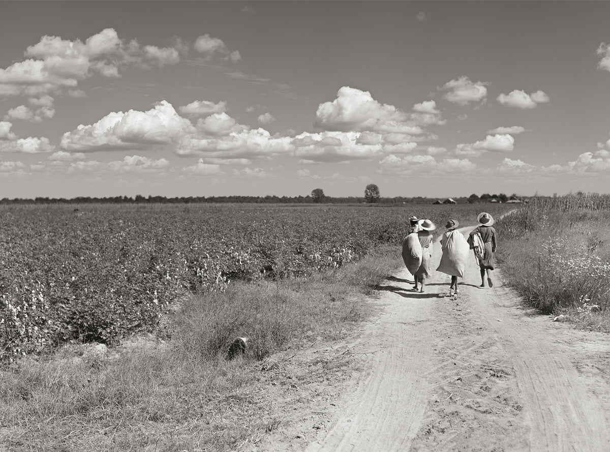 Cotton pickers in Mississippi Delta, Marion Post Wolcott, 1939 Historical Pix