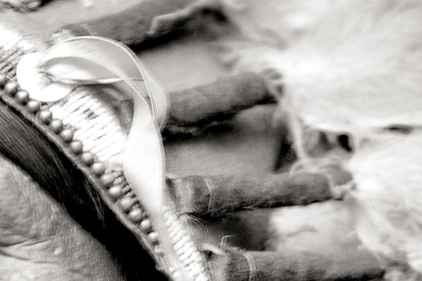 Dakota Native American Portrait, Circa 1900 Historical Pix