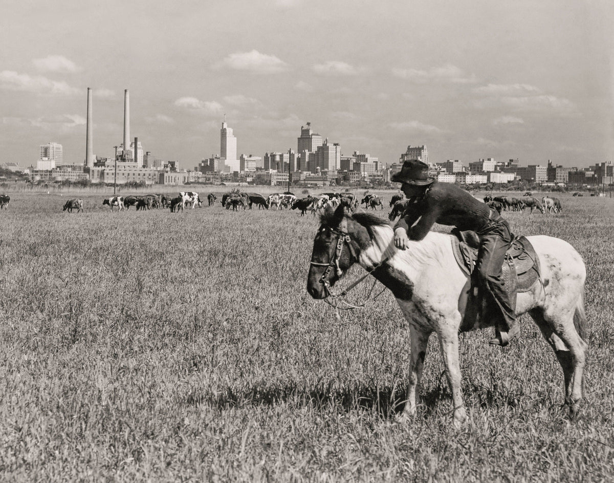 Dallas Texas Skyline, Cowboy &amp; Horse, Dallas Texas, 1943 Historical Pix