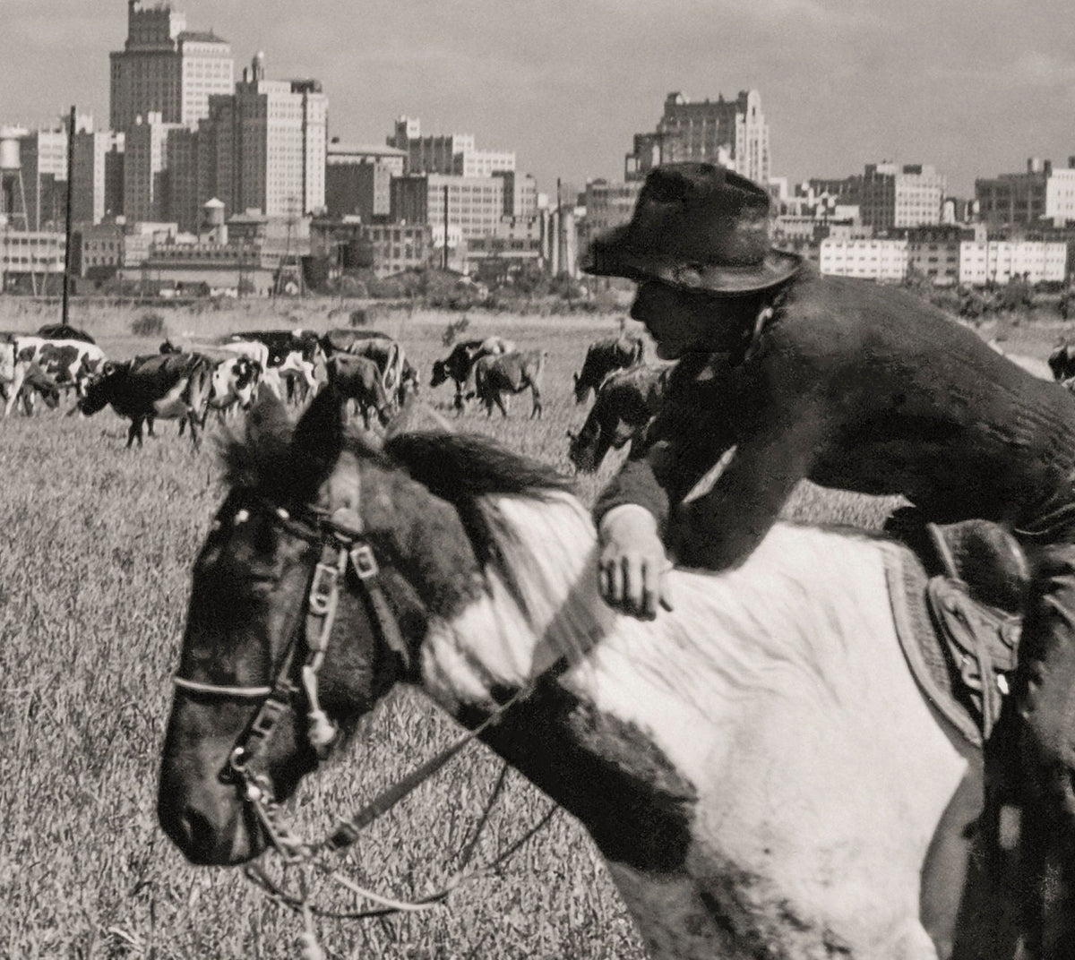 Dallas Texas Skyline, Cowboy &amp; Horse, Dallas Texas, 1943 Historical Pix