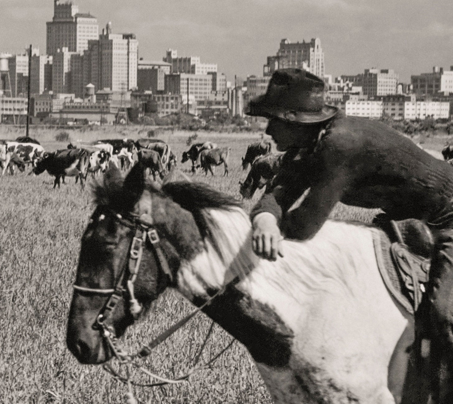 Dallas Texas Skyline, Cowboy & Horse, Dallas Texas, 1943 Historical Pix
