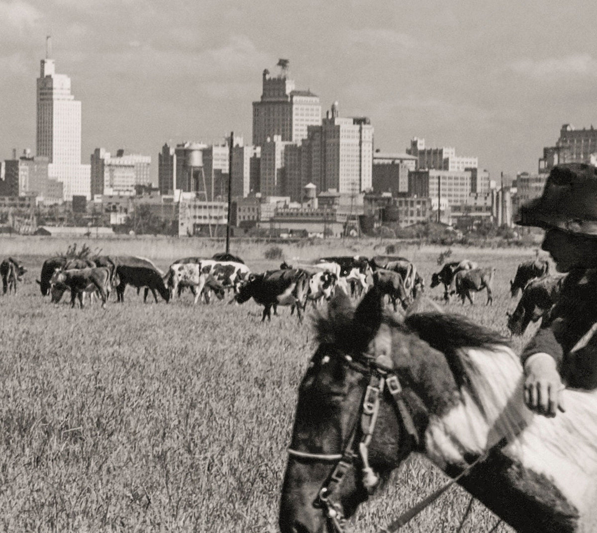 Dallas Texas Skyline, Cowboy &amp; Horse, Dallas Texas, 1943 Historical Pix