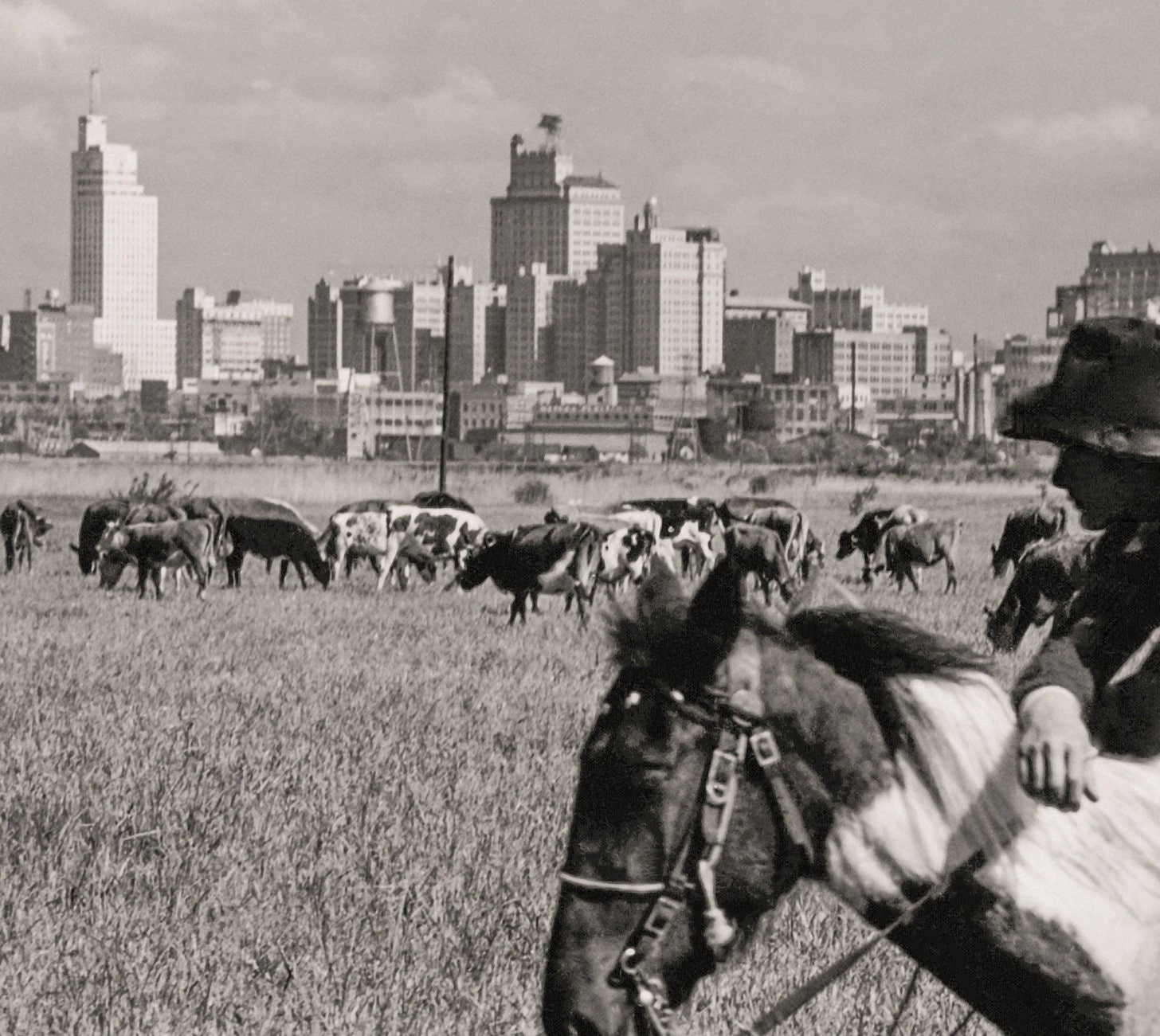 Dallas Texas Skyline, Cowboy & Horse, Dallas Texas, 1943 Historical Pix
