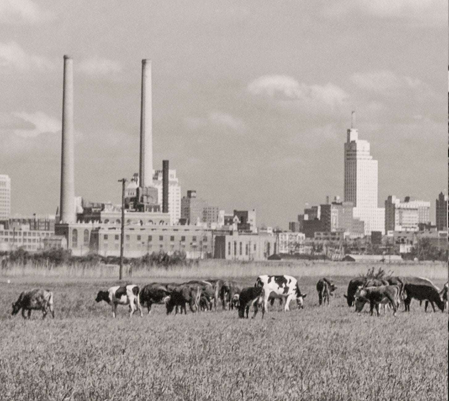 Dallas Texas Skyline, Cowboy & Horse, Dallas Texas, 1943 Historical Pix