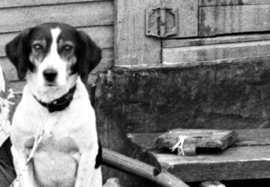 Dog and Owner, Hooverville, Ohio, Circleville, 1938 Historical Pix