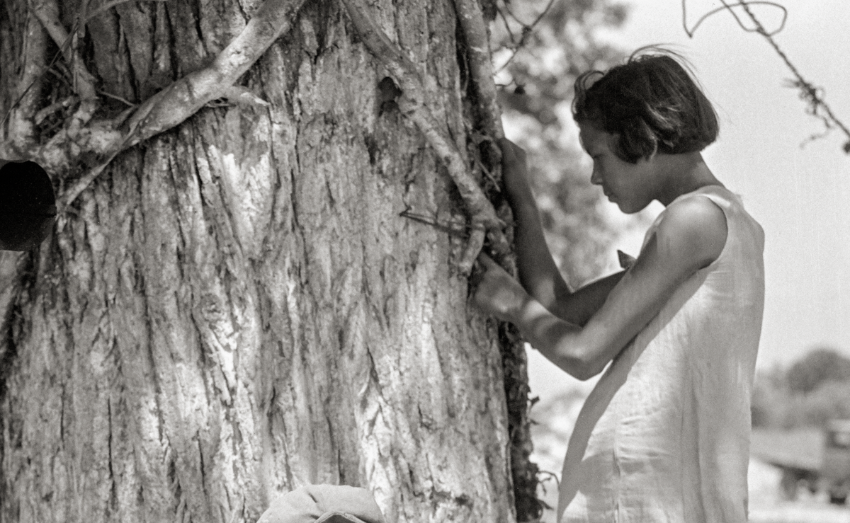 Dorthea Lange, Motherless Children of a Migrant Mother Historical Pix