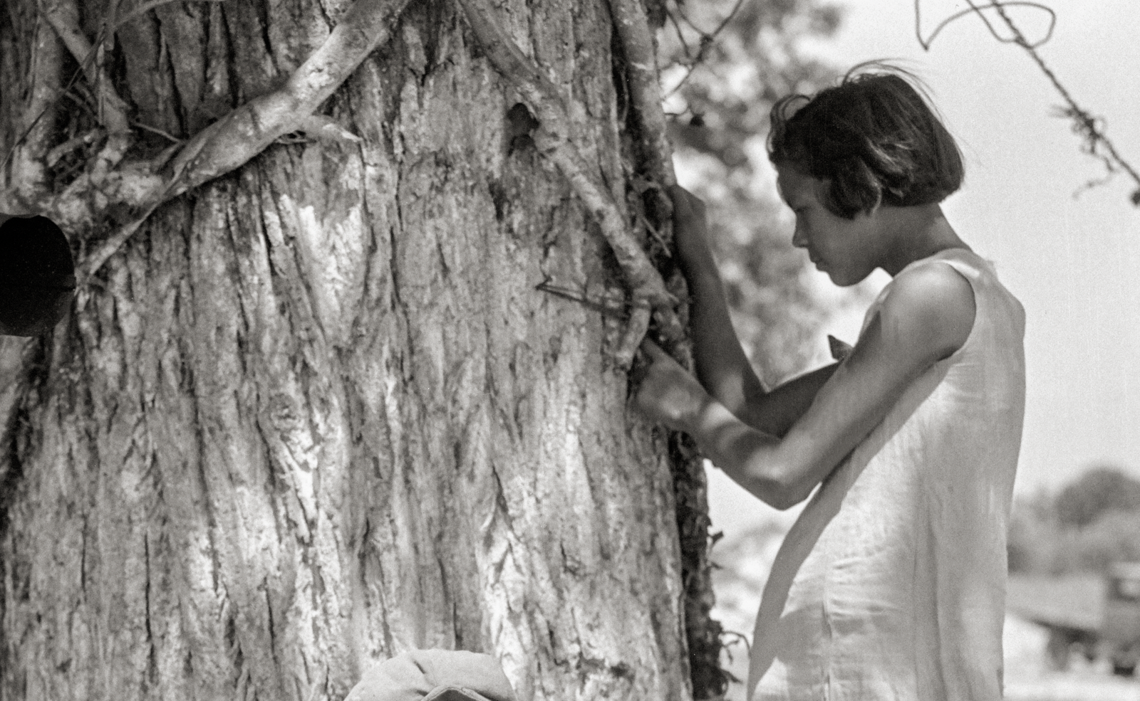 Dorthea Lange, Motherless Children of a Migrant Mother Historical Pix