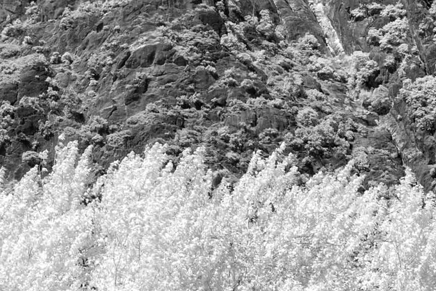 Eastern Yosemite Valley, 2013 Historical Pix