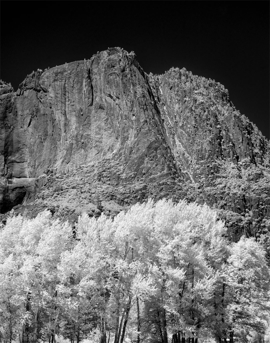 Eastern Yosemite Valley, 2013 Historical Pix