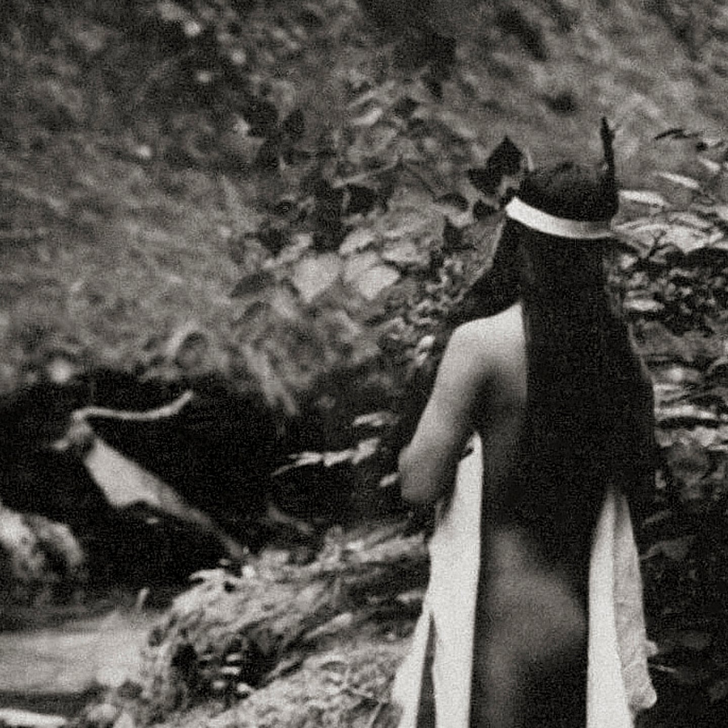 Edward Curtis, Maid of Dreams", 1909 Historical Pix