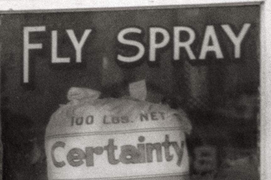 Feed and Seed Country Store, 1940, Old Photo Des Moines, Iowa Historical Pix