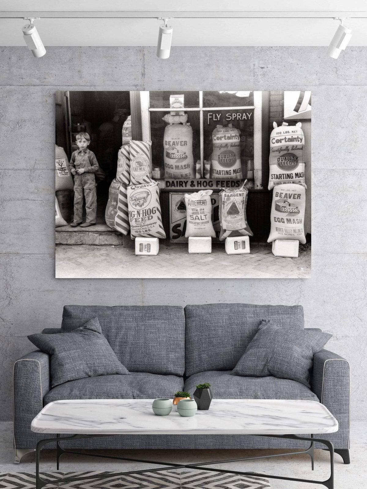 Feed and Seed Country Store, 1940, Old Photo Des Moines, Iowa Historical Pix