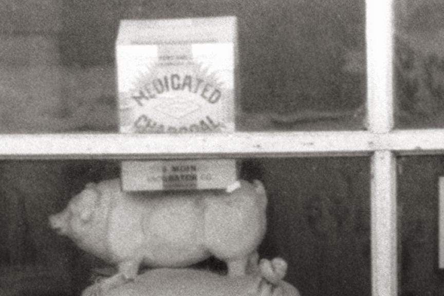 Feed and Seed Country Store, 1940, Old Photo Des Moines, Iowa Historical Pix