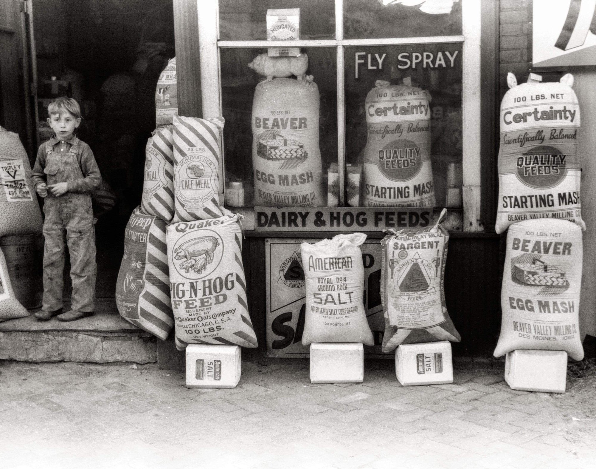 Feed and Seed Country Store, 1940, Old Photo Des Moines, Iowa Historical Pix