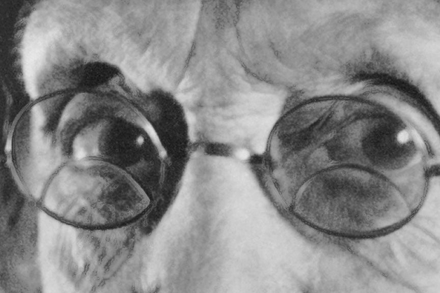 First Woman US Senator, Georgia, 1922 Historical Pix