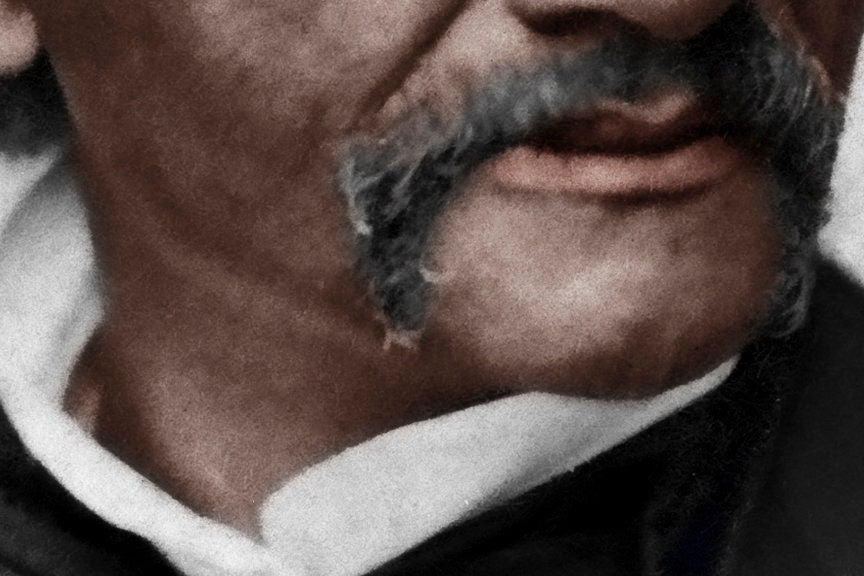 Frederick Douglas Colorized Portrait Photo, Abolitionist, 1870 Historical Pix