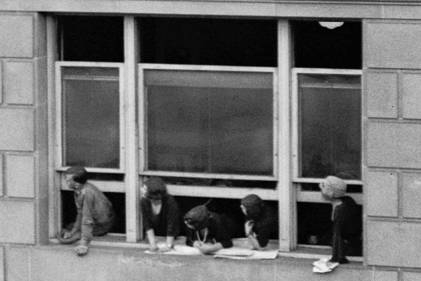 German Shepherd Climbs Ladder, 1923 Historical Pix