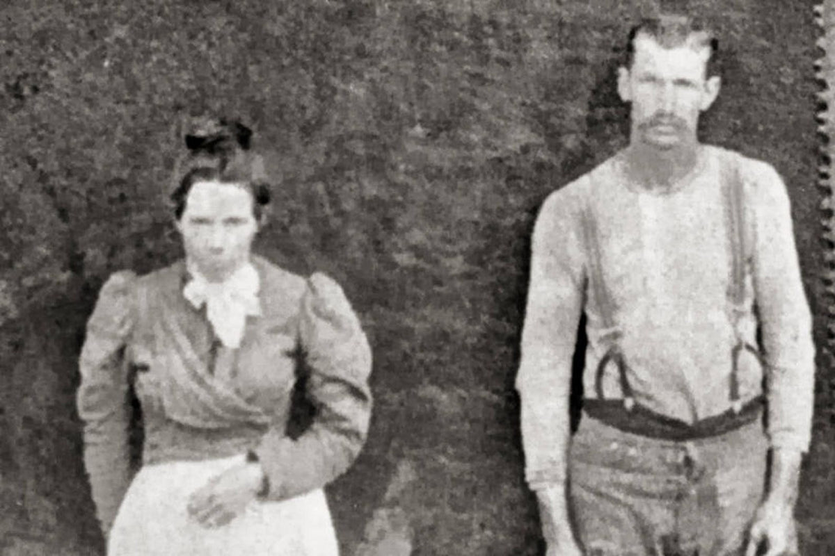 Giant Sequoia, Generals Highway, Three Rivers, Tulare County, CA, 1900 Historical Pix