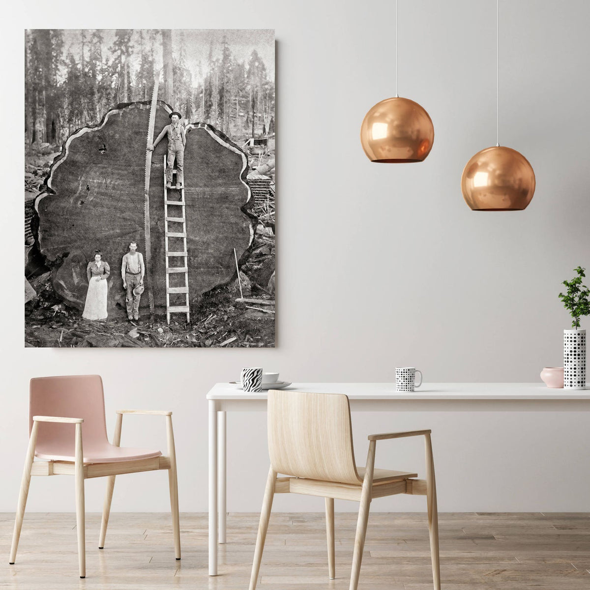 Giant Sequoia, Generals Highway, Three Rivers, Tulare County, CA, 1900 Historical Pix