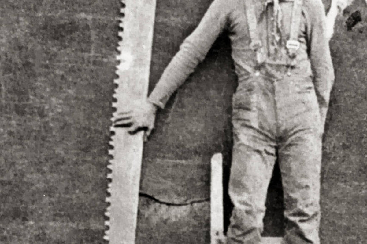 Giant Sequoia, Generals Highway, Three Rivers, Tulare County, CA, 1900 Historical Pix