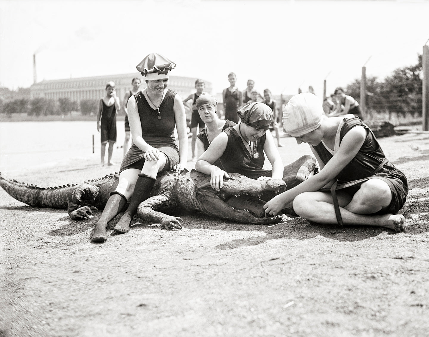 Girls Sit For Photo on Crocodile, Washington DC Tidal Basin, 1920s Historical Pix