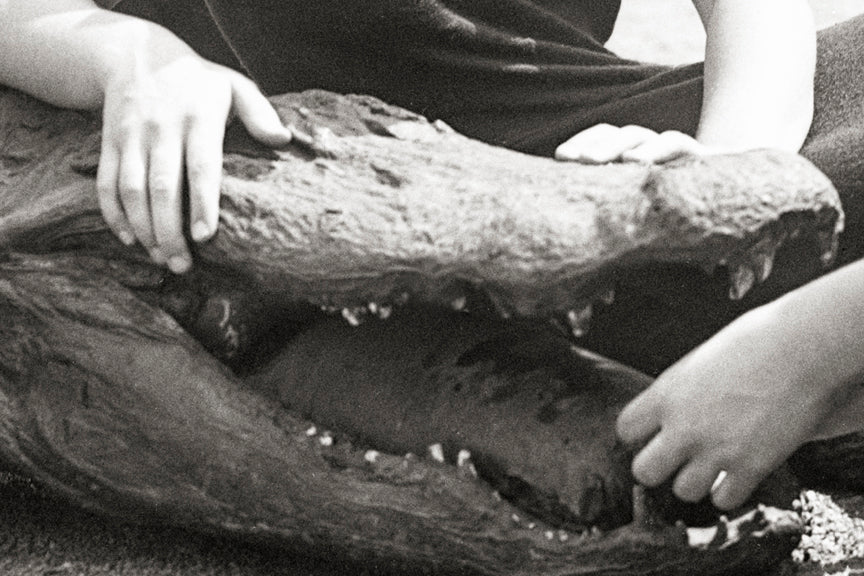 Girls Sit For Photo on Crocodile, Washington DC Tidal Basin, 1920s Historical Pix