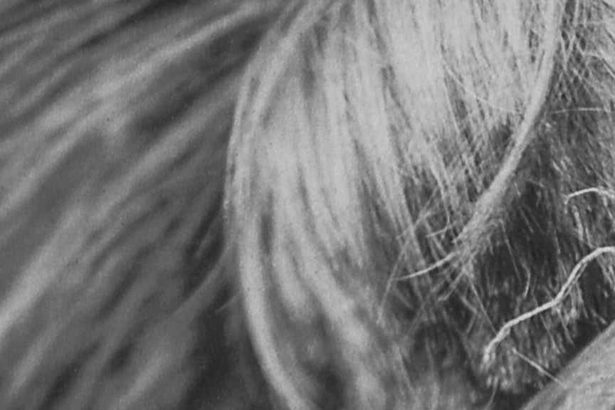 Indigenous American Apache Indian, Early 1900s Historical Pix