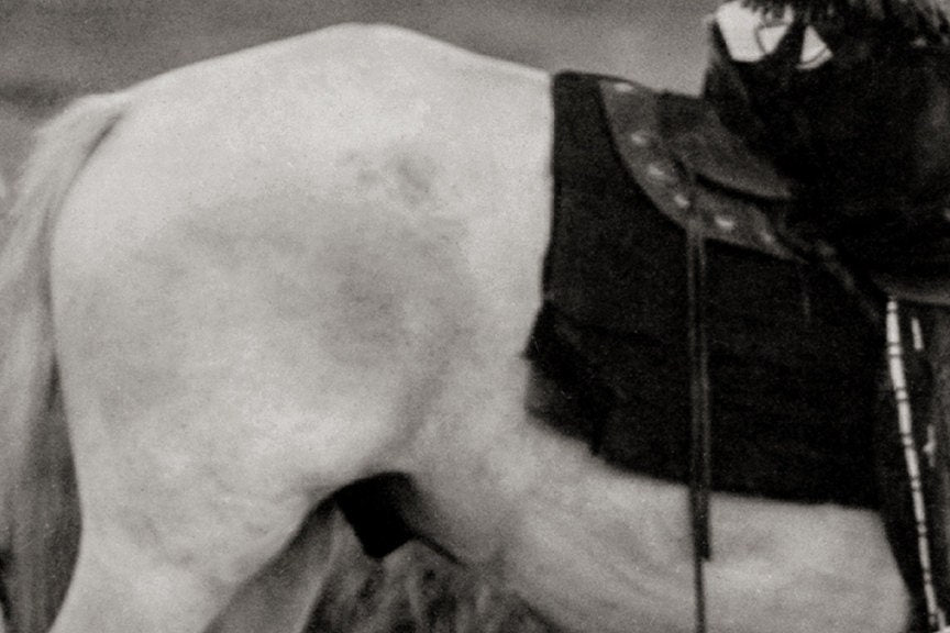 Indigenous American Oglala Warrior, Wearing Headdress, Early 1900s Historical Pix