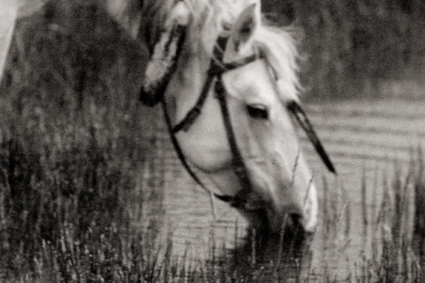 Indigenous American Oglala Warrior, Wearing Headdress, Early 1900s Historical Pix