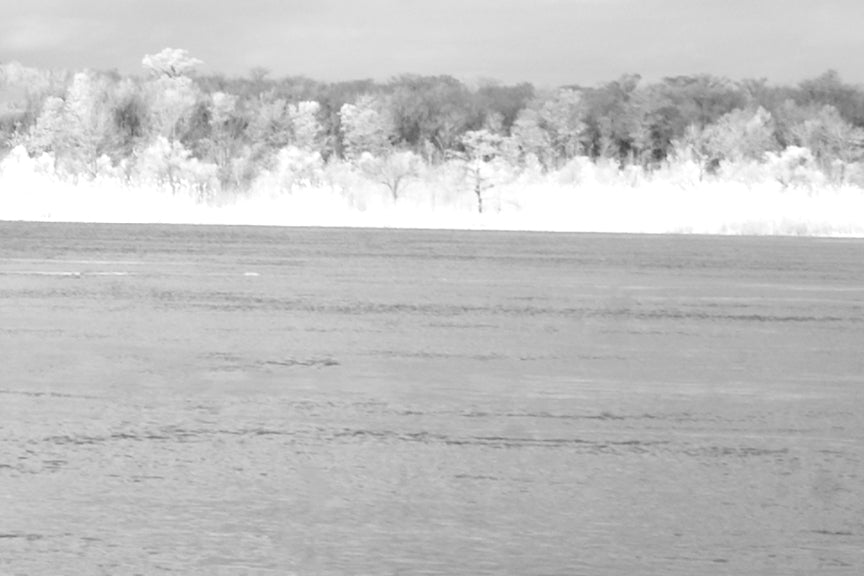 Infrared Photo, Alabama, Blakeley State Park Historical Pix