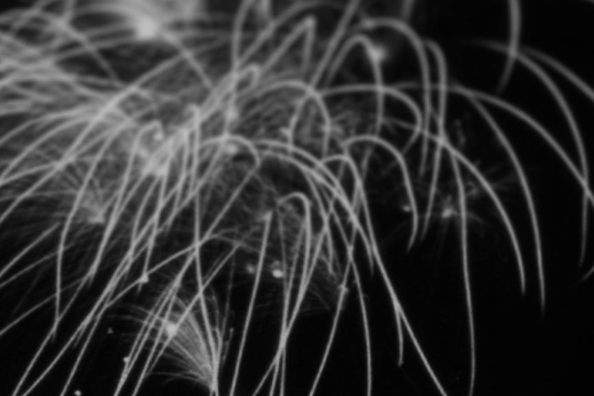 Minneapolis Art, Foshay Tower Dedication, 1929 Historical Pix