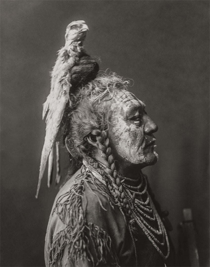 Native American Apsaroke Warrior, 1908 Historical Pix