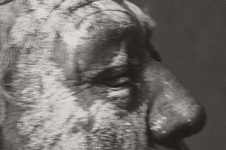 Native American Apsaroke Warrior, 1908 Historical Pix